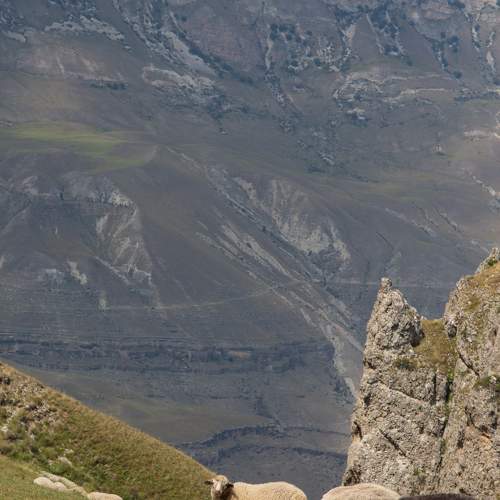 Photo #10369262