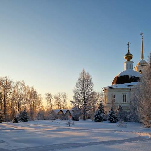 Photo #10369407