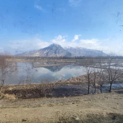 Photo #10369768