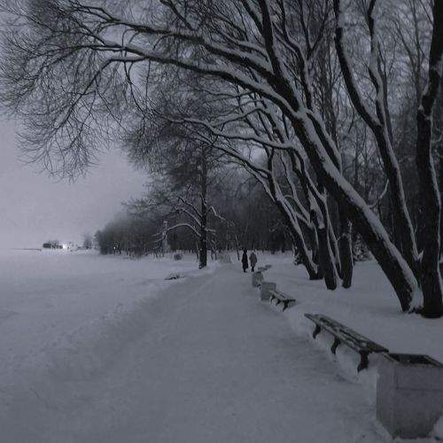 Photo #10369773