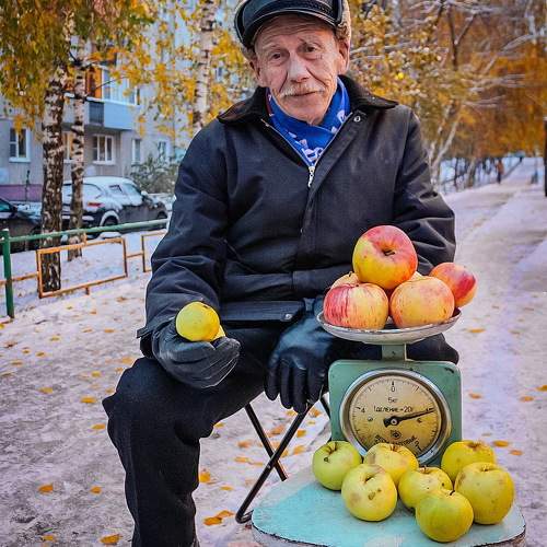 Яблоки на снегу
