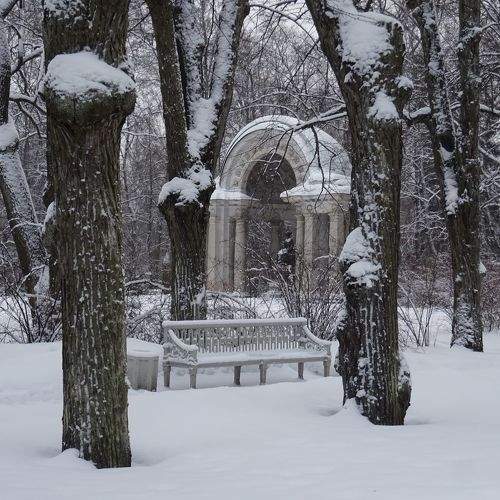 Photo #10369878