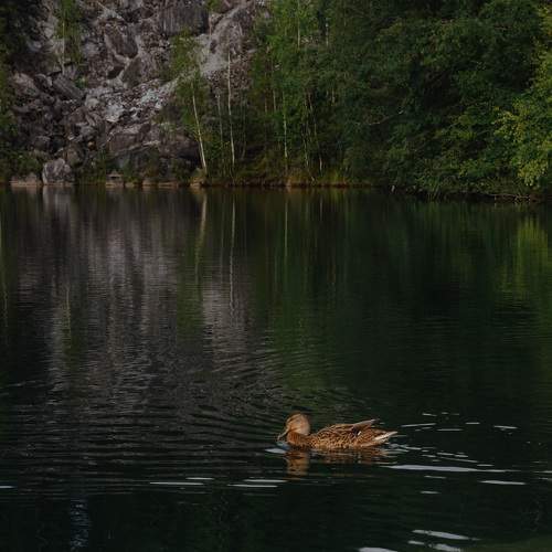 Photo #10370089
