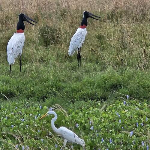 Photo #10370349