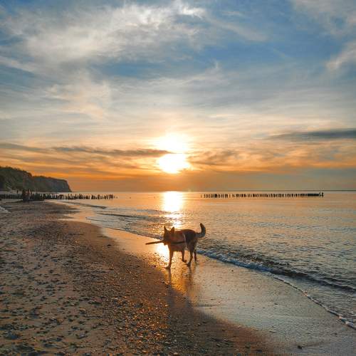 Photo #10370401