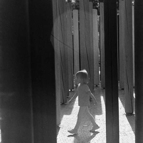 Photo #10370475