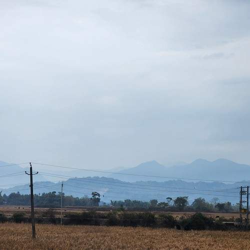 Photo #10370549