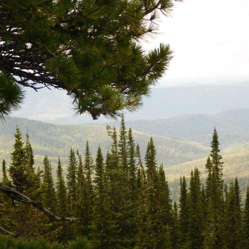 Photo #10370686