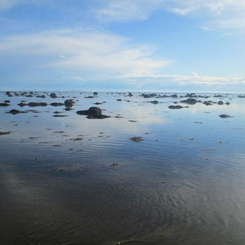 Photo #10370701