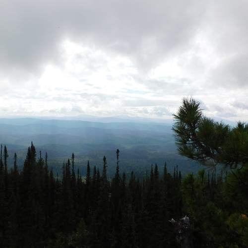 Photo #10370702