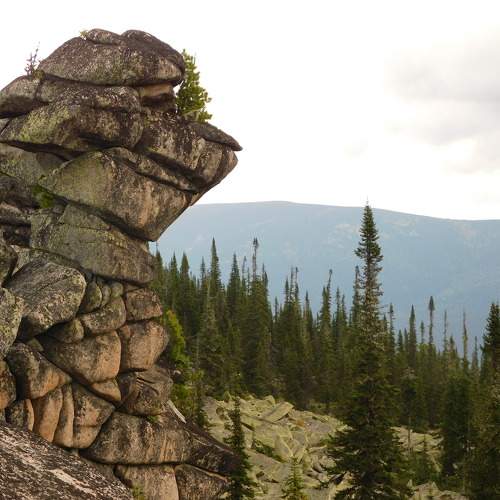 Photo #10370741