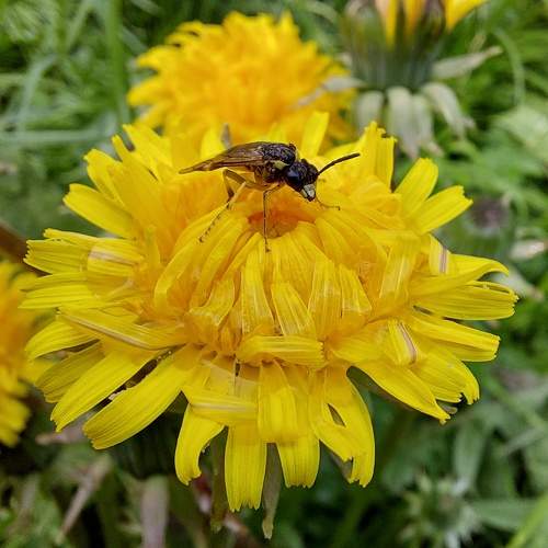 Photo #10370904