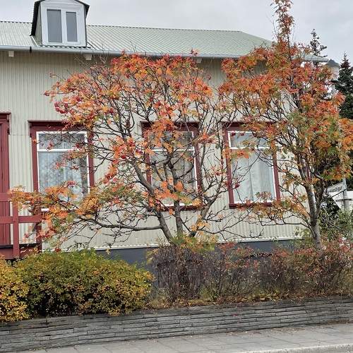 Photo #10370980