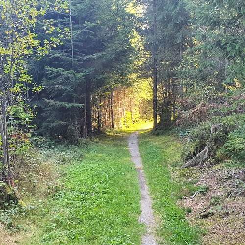 Photo #10371202