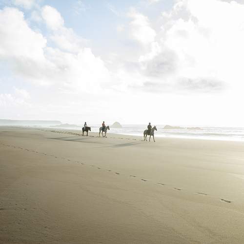 Photo #10371207