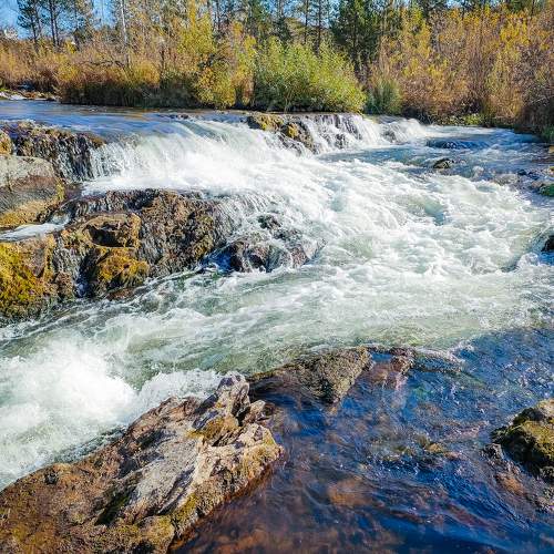 Photo #10371222