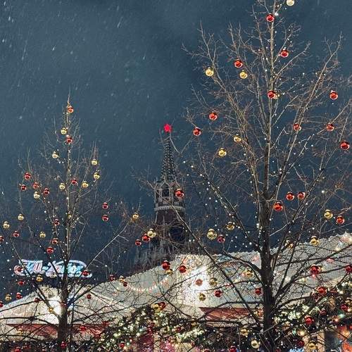 Photo #10371301