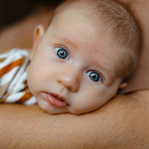 Photo #10371443