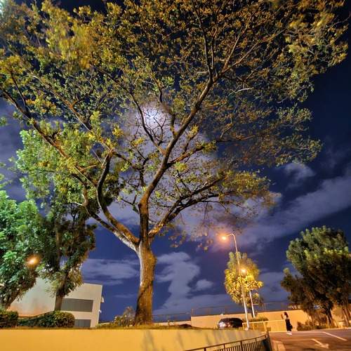 Photo #10371453