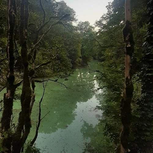 Фотография #10371503