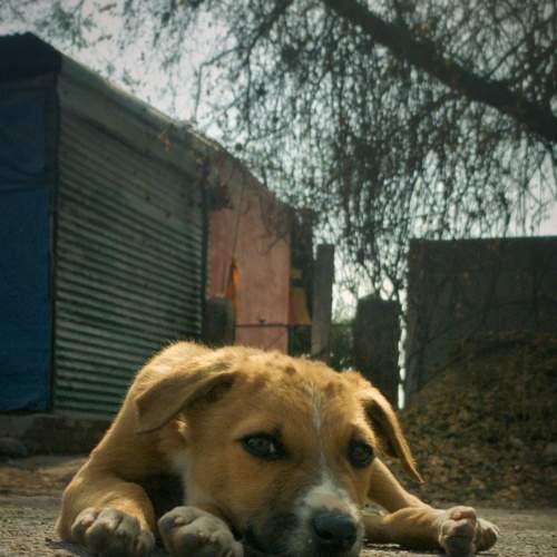 Photo #10371996