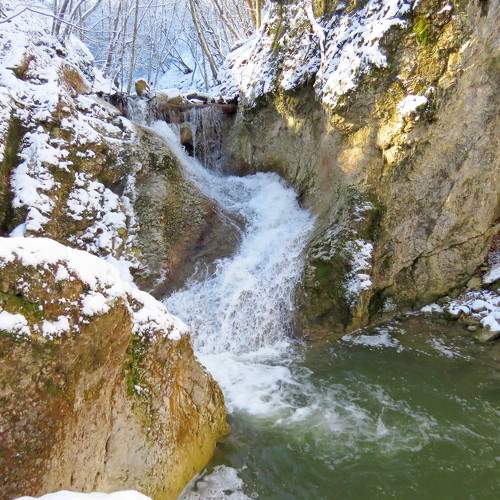 Photo #10372308