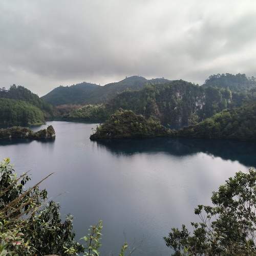 Photo #10372443