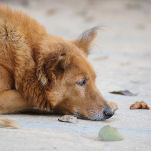 Photo #10372552