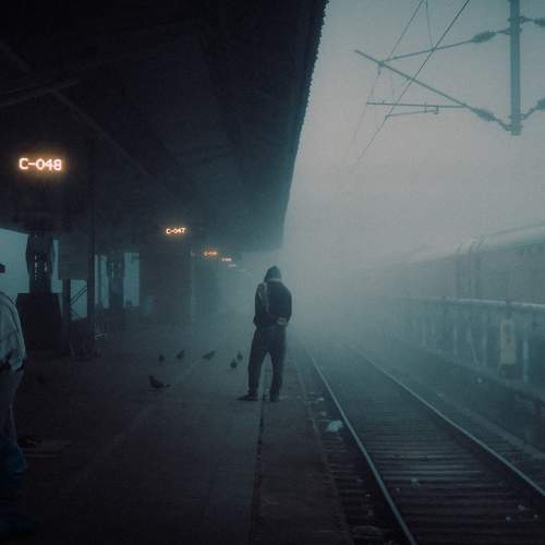 Misty morning
