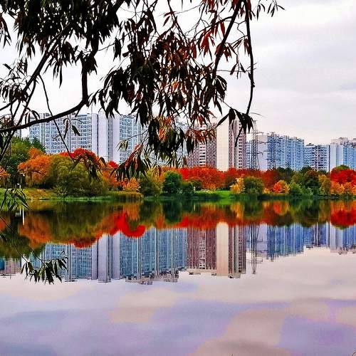 Photo #10372690