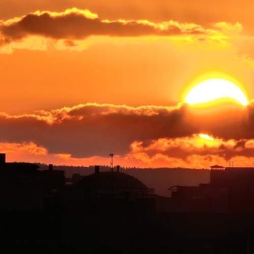 Photo #10372827