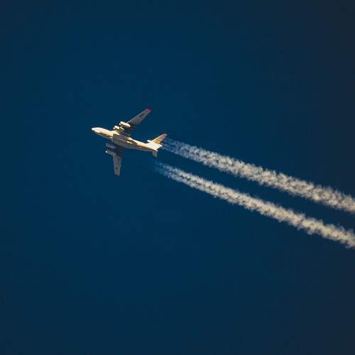 Photo #10372929