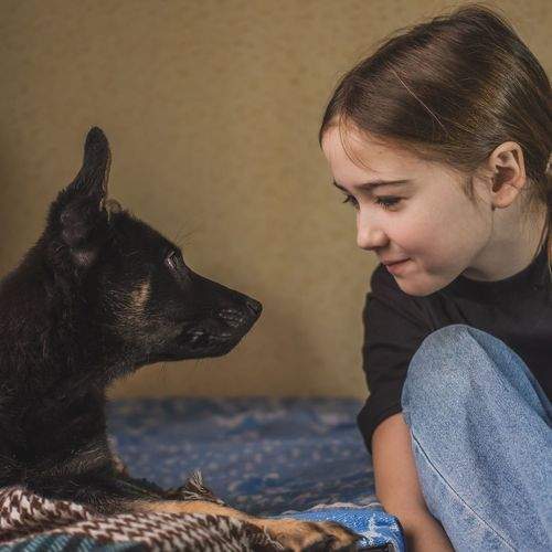 Photo #10373401