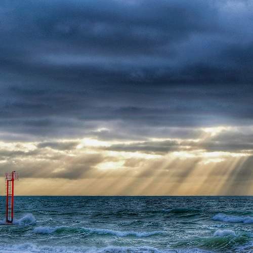 Photo #10373525