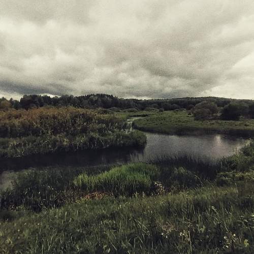 Photo #10374197