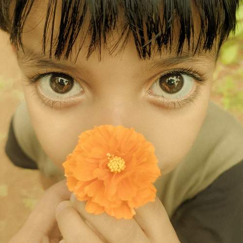 Photo #10374573