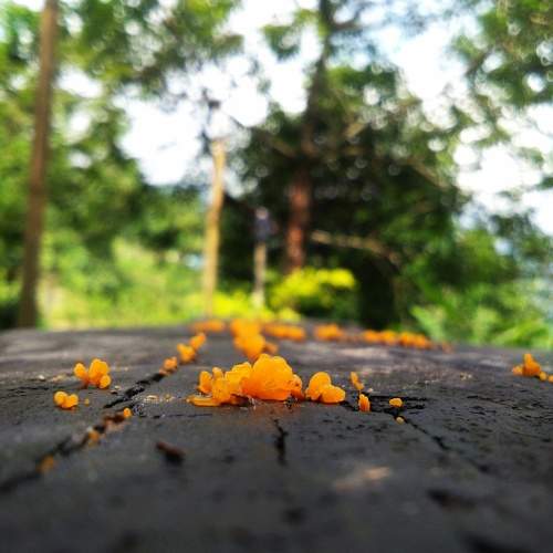 Photo #10374705