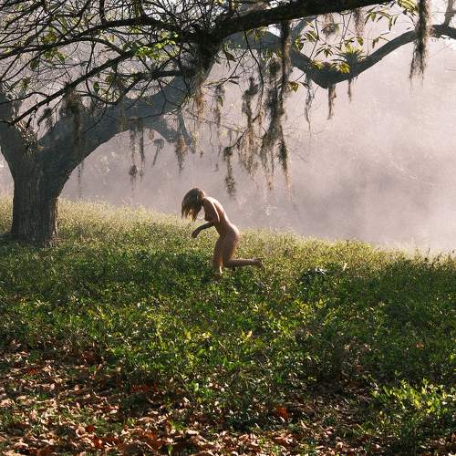 Photo #10374762