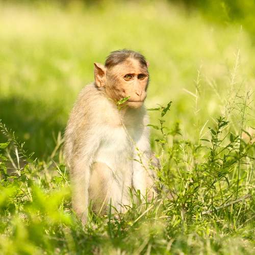 Photo #10374971