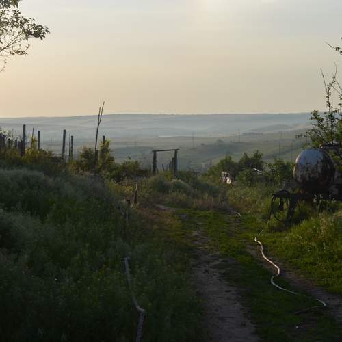 Photo #10374973