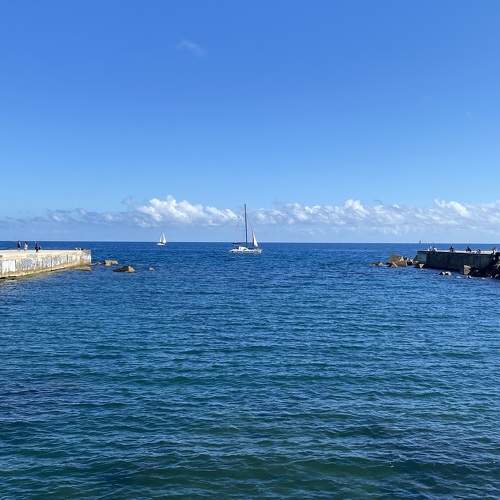 Photo #10374983