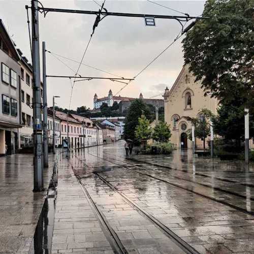 Photo #10375004