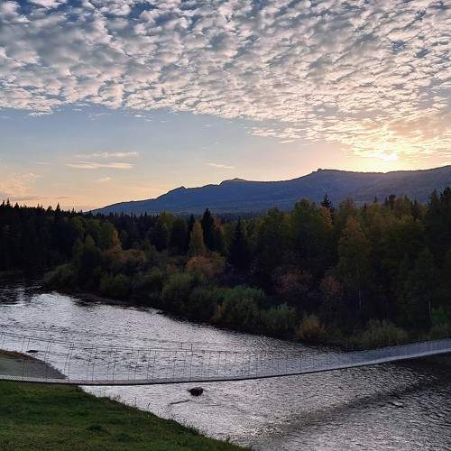 Photo #10375216