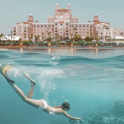 Photo #10375527