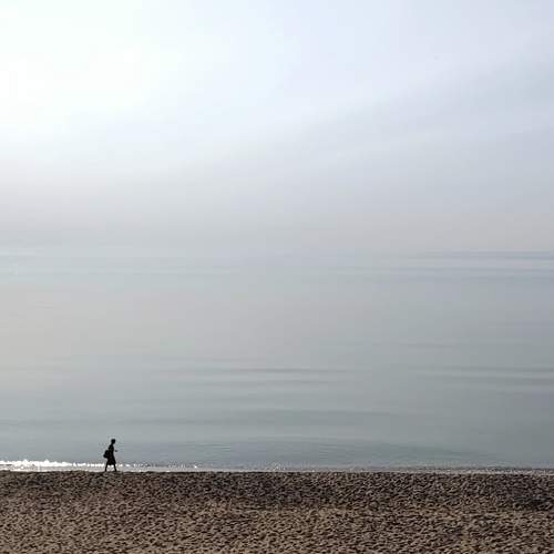 Photo #10375564