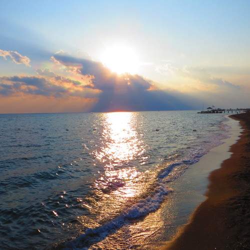 Photo #10375592