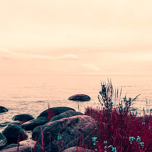 Photo #10375621