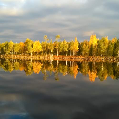 Photo #10376180