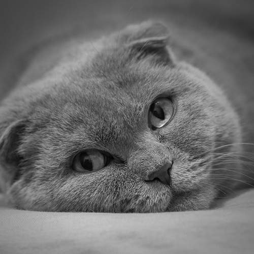 Фотография #10376342