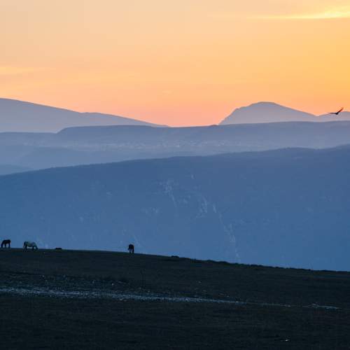Photo #10376469
